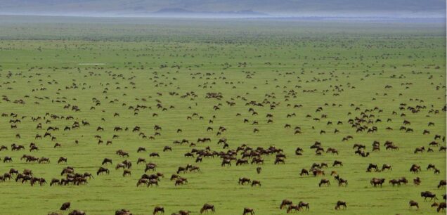 Tanzania