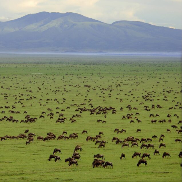 Tanzania