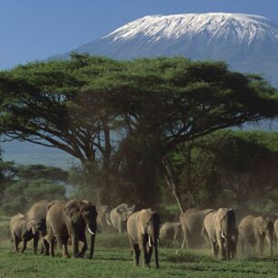 Kenya – Tanzania