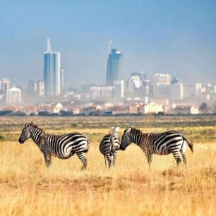 Nairobi Excursions
