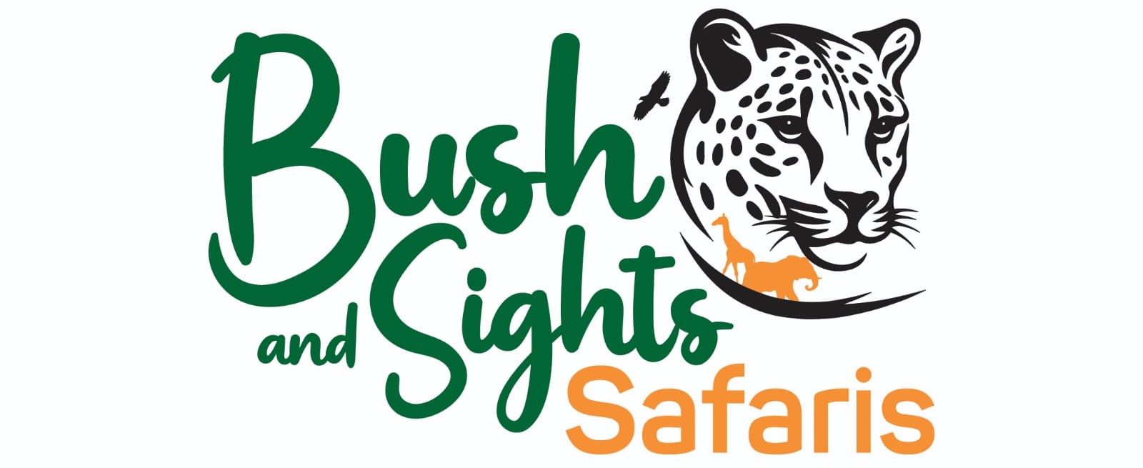 Bush and Sights Safaris