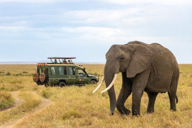6 Days Samburu, L. Naivasha & Masai Mara