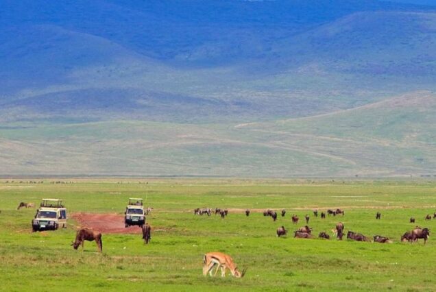 10 Days & 9 Nights Kenya and Tanzania Safari