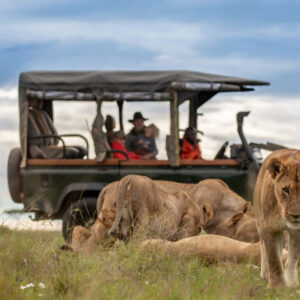 4 Days Best of Kenya Masai Mara and Lake Nakuru Tour