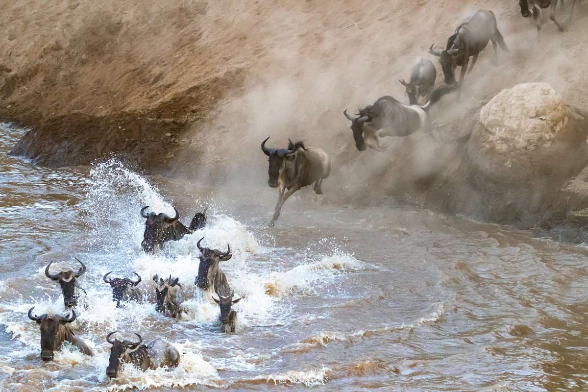 best Kenya safari tours