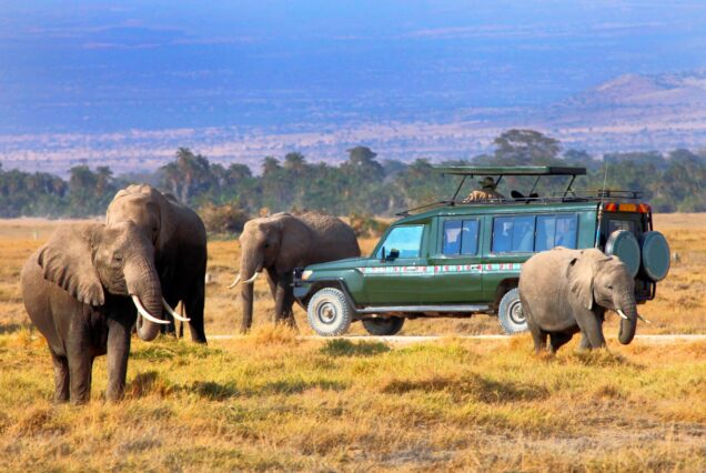 7 Days Kenya Adventure Safari