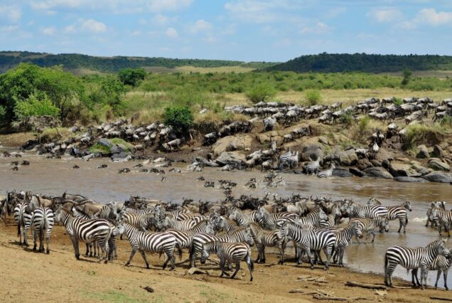 Maasai Mara safari packages