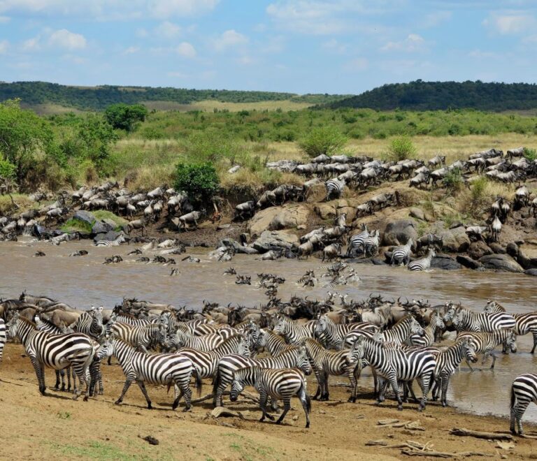 Maasai Mara safari packages