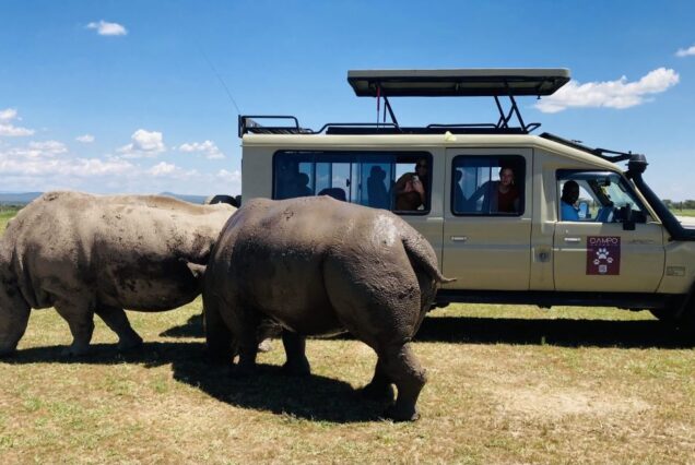 5 Days Olpajeta, Lake Nakuru & Masai Mara