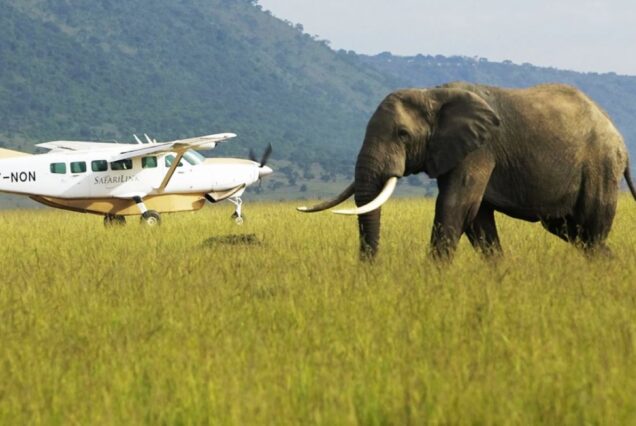 Amboseli Flying Safari 3 Days 2 Nights