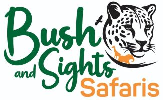 Bush and Sights Safaris