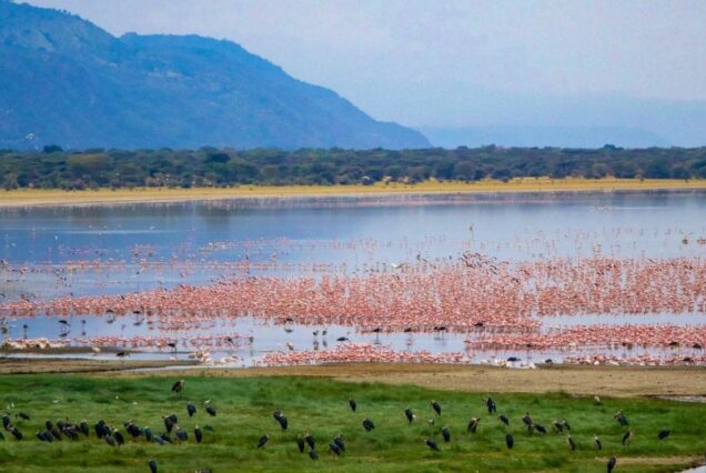 3 Days Ngorongoro & L. Manyara Camping Safari