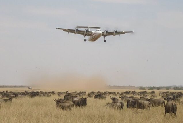 5 Days Samburu and Masai Mara Flying Package