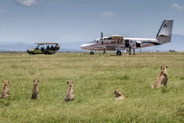 8 Days Amboseli, Samburu & Masai Mara Flying Safari
